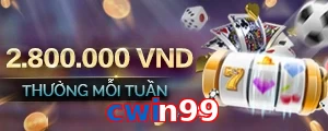cwin99