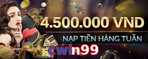 cwin99