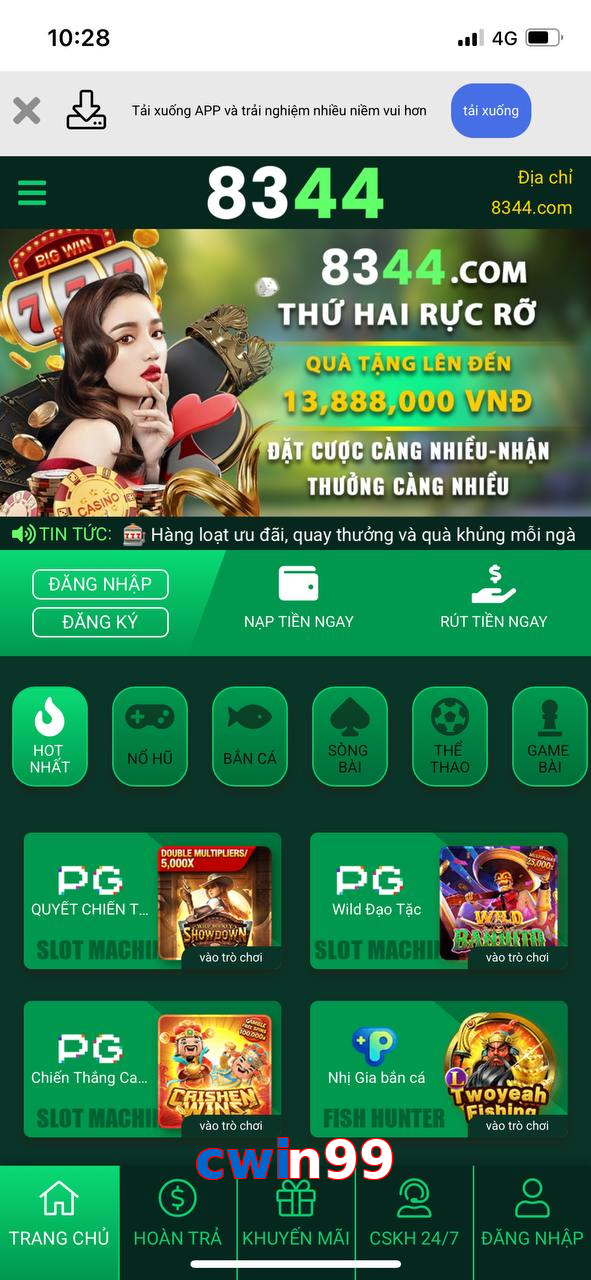 cwin99